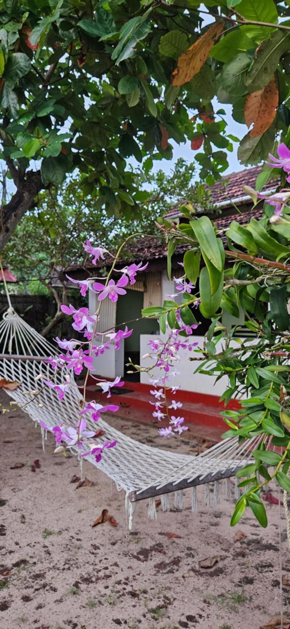 Angeo Beach House Alappuzha 外观 照片